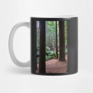 Tall dark redwood tree trunks. Mug